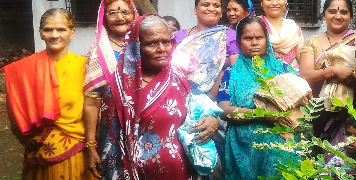 Story of a Saree activity image